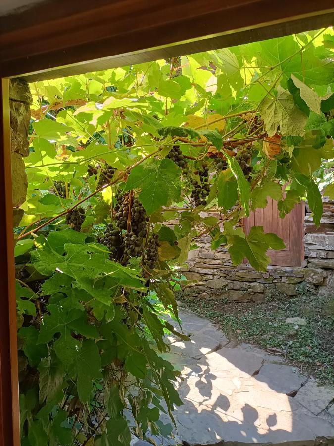 Casa Do Ti Tote Villa Talasnal Dış mekan fotoğraf